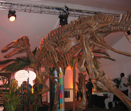Edmontosaurus skeleton.