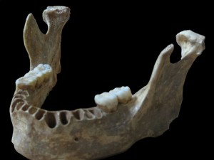 Early human jawbone.