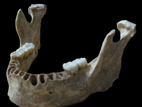 DNA analysis reveals very recent Neanderthal ancestor.