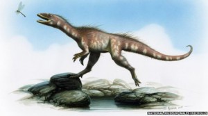 Early Jurassic theropod from Wales (Welsh dinosaur).