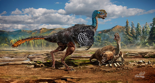 A new feathered dinosaur from China.