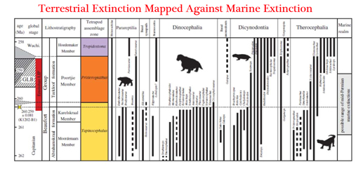 Table examining the impact of the Mid Permian extinction event on terrestrial fauna.