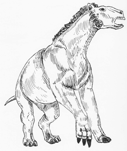 An illustration of Moropus.