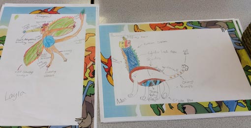 Colourful and carefully thought out dinosaur designs.