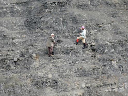 Curvin Metzler (left), who discovered the Elasmosaur fossil and Patrick Druckenmiller examine the spot where bones were found sticking out of the cliff in the Talkeetna Mountains.