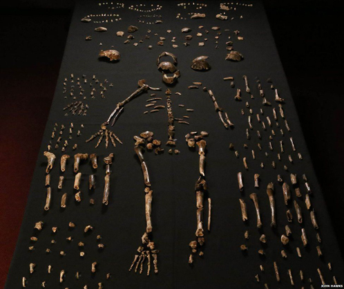 The most extensive hominin fossil find from Africa