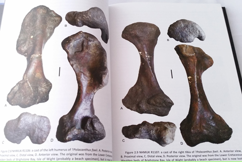 The book features lots of colour plates showing Polacanthus fossil material.