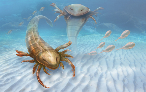 Ancient predator of the Middle Ordovician.