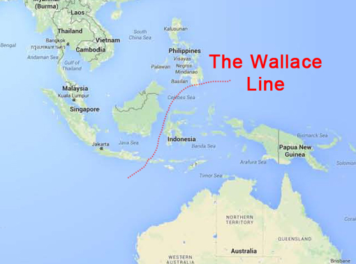 The Wallace Line.