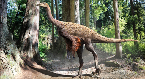 Feathered Ornithomimus illustration.