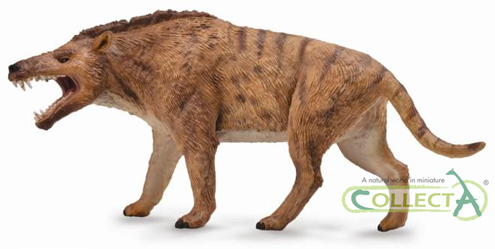 A 1:20 scale replica of an Andrewsarchus from CollectA.