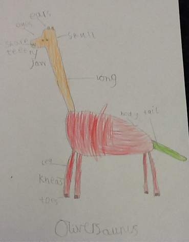 Oliver designs a dinosaur.