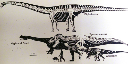 Dipolodcus, T. rex and the 
