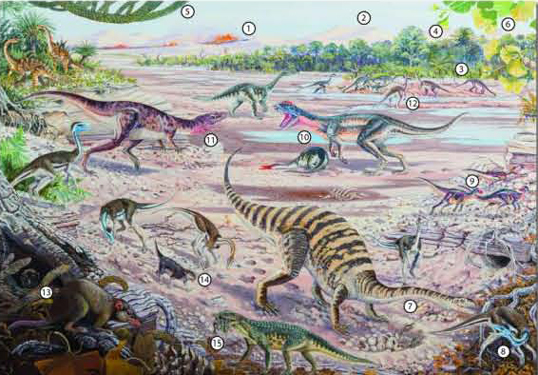 Prehistoric life in South Africa