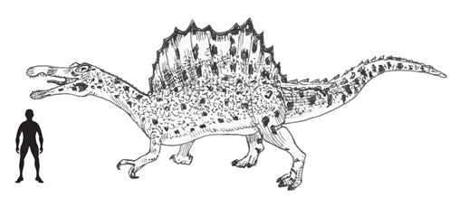The 2014 interpretation of Spinosaurus.