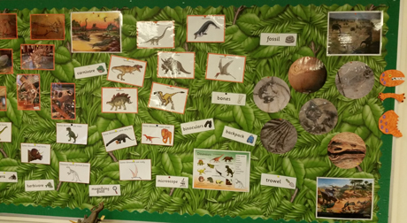 Rocks, fossils and dinosaurs - a wow wall.