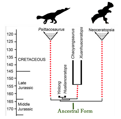 Hualianceratops and the ghost lineages..