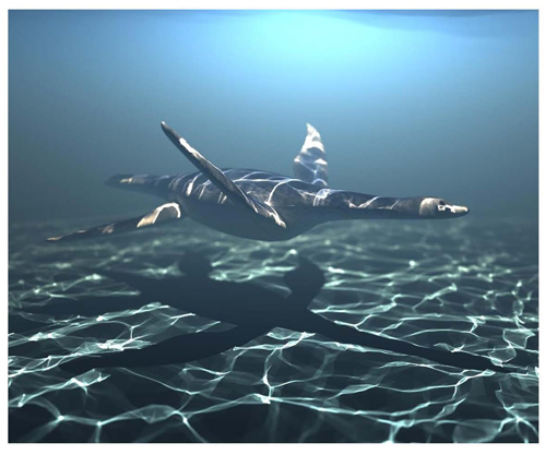 The most effective swimming motion for the plesiosaur is flapping the two front flippers in an underwater flight motion