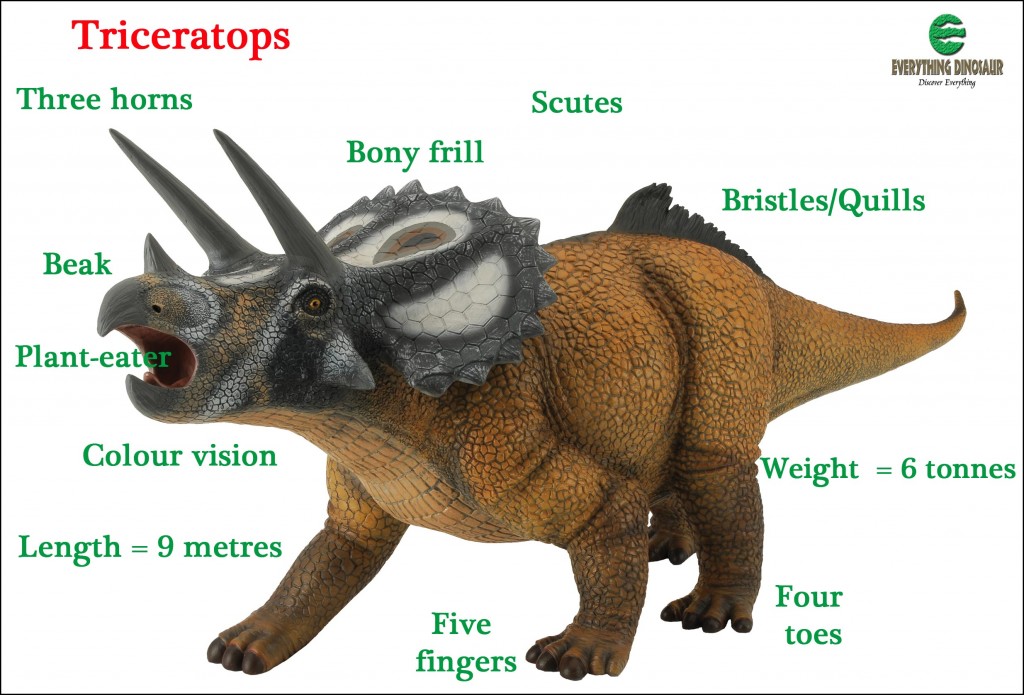 Use dinosaurs to help children develop their vocabulary.