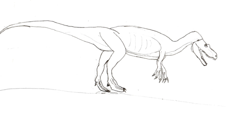 Dinosaur drawings.