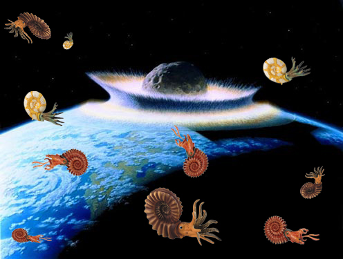 Ammonites shot into space.
