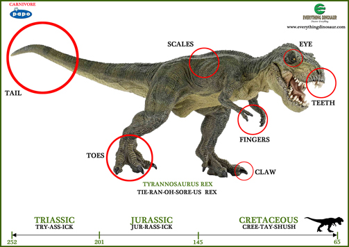 A T. rex dinosaur word mat.