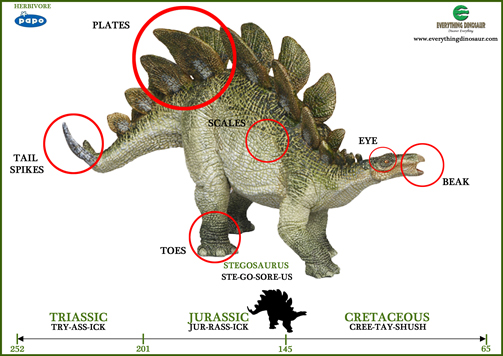 A word mat for the Jurassic herbivore Stegosaurus.