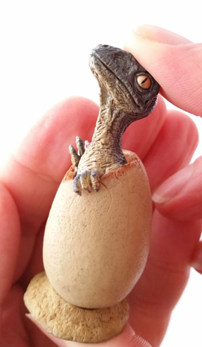 A Velociraptor Hatchling by Rebor.