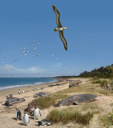 Beaumaris bay, (Victoria, Australia) some five million years ago.