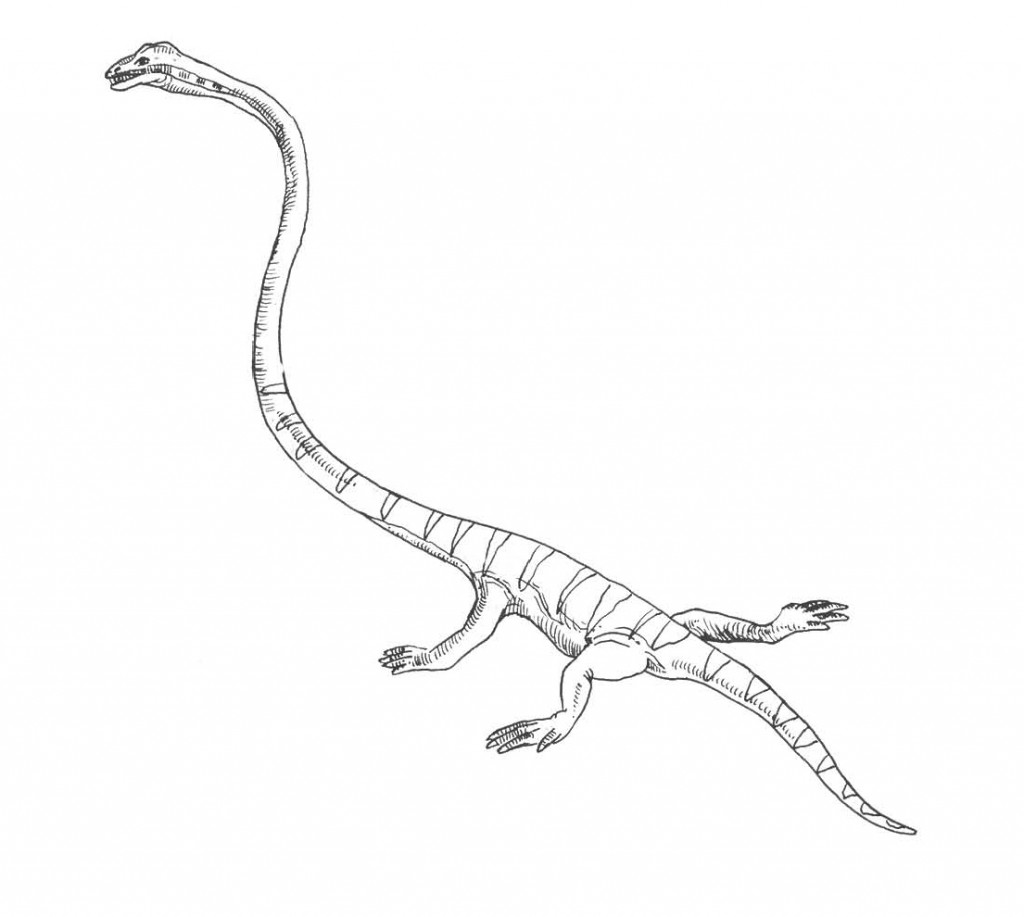 A drawing of Tanystropheus.