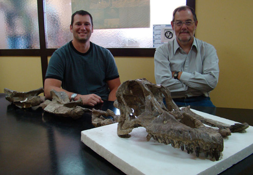 Dr. Martinez (right) and Dr. Lamanna (left) with Sarmientosaurus skull.