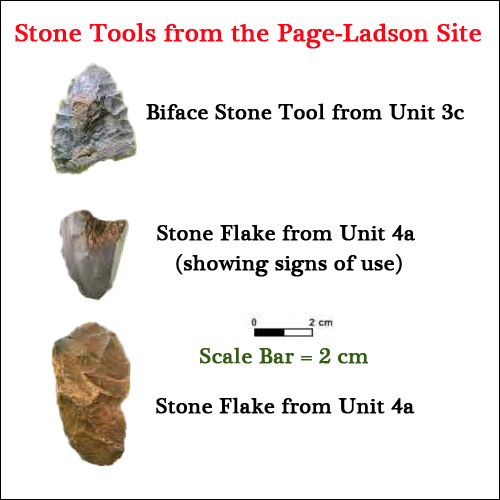 Examples of stone tools excavated from the Page-Ladson site (Florida).