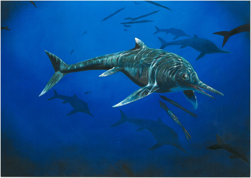 New species of Early Jurassic Ichthyosaur announced.