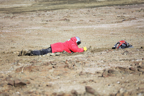 Lying down on the job!  Looking for fossils in the Antarctic.