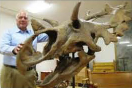 Dr. Bill Shipp with a cast of the skull of Spiclypeus.