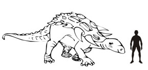 A drawing of a Nodosaur.