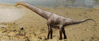 New basal Titanosauriform from Argentina (Sarmientosaurus).