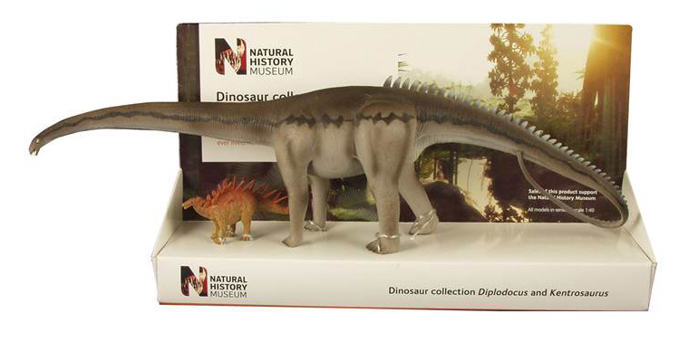 The Kentrosaurus and Diplodocus dinosaur models.