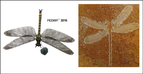 The Rebor Protolindenia model compared to a fossil dragonfly.