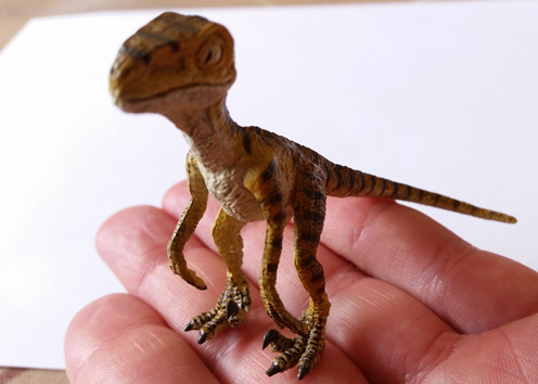 "Stan" the baby Velociraptor dinosaur model by Rebor.