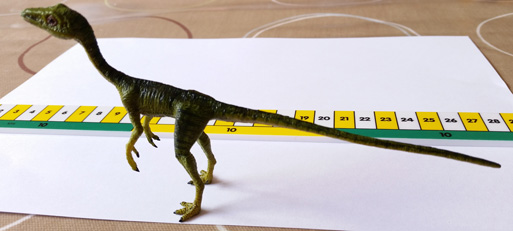 Rebor 1:6 scale Compsognathus model