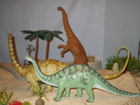Feeding Sauropod dinosaurs.