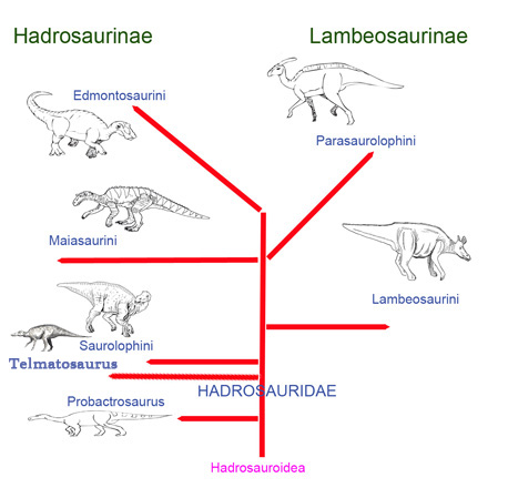 Telmatosaurus is a basal hadrosaurid dinosaur.