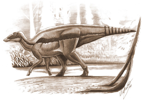 A Illustration of the Hadrosaur Telmatosaurus