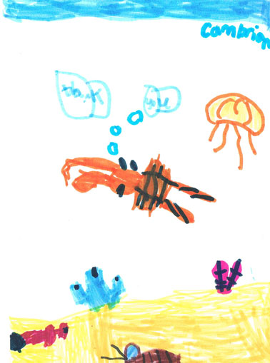 Life in the Cambrian by Max.