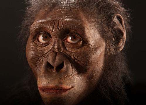 Australopithecus afarensis "Lucy".