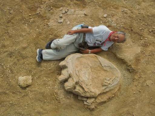 The fossilised footprint of a Late Cretaceous Titanosaur.
