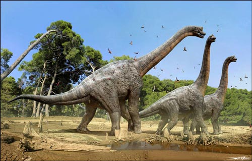 Macronarian Titanosauriform dinosaurs.