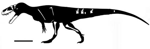 New dinosaur from Germany (Wiehenvenator)