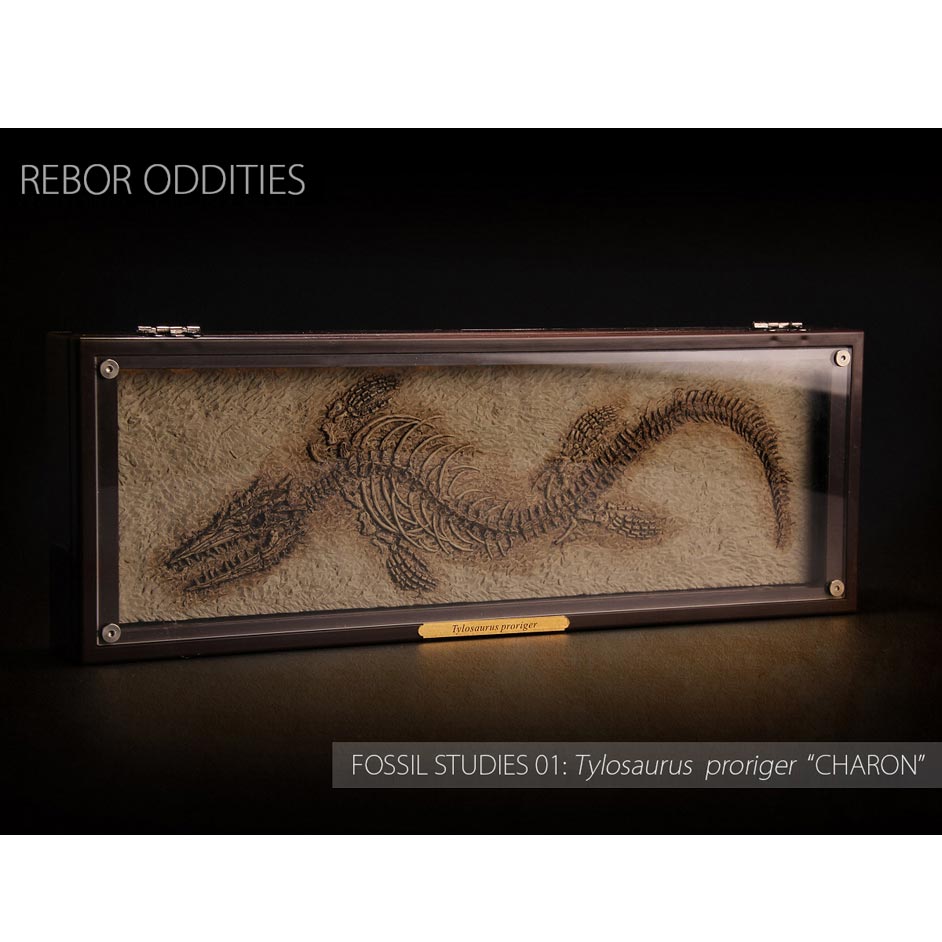 Rebor (Charon) Tylosaurus proriger.